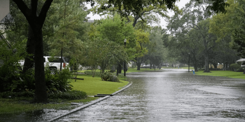Florida homeowners reviewing hurricane mitigation grant options and home insurance information.