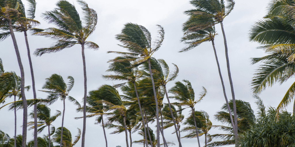 Florida home eligible for hurricane mitigation improvements through the My Safe Florida Home Program.