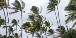 Florida home eligible for hurricane mitigation improvements through the My Safe Florida Home Program.